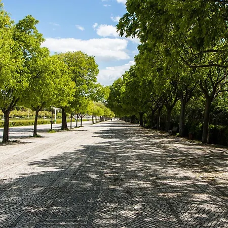 Готель Park & Лісабон
